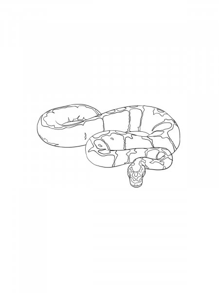 Python coloring pages