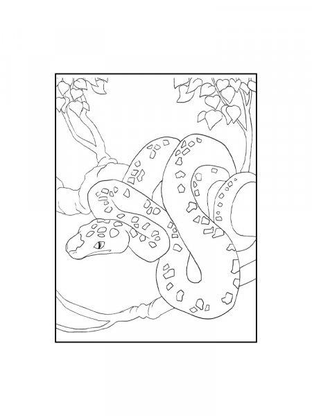 Python coloring pages
