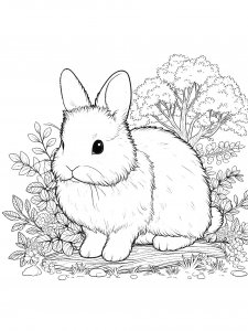 Rabbit Coloring Pages 64