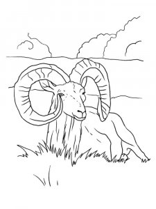 ram coloring page - picture 1