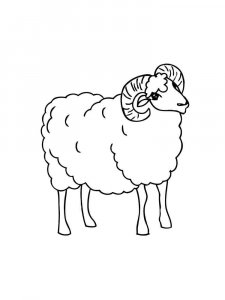 ram coloring page - picture 10