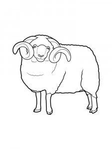 ram coloring page - picture 15
