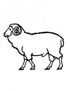 ram coloring page - picture 20