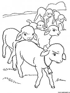 ram coloring page - picture 26