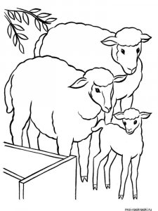 ram coloring page - picture 30