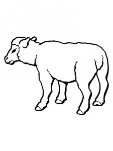 ram coloring page - picture 33