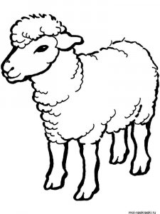 ram coloring page - picture 35