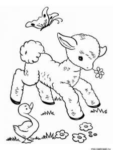 ram coloring page - picture 37