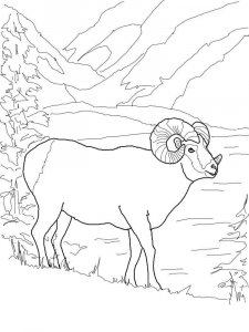 ram coloring page - picture 4