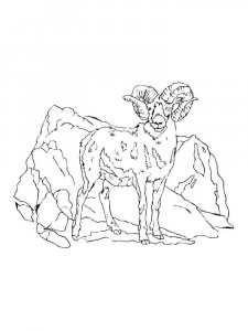 ram coloring page - picture 6