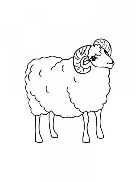 Ram coloring pages