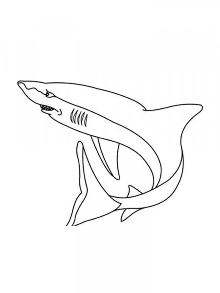 Sharks coloring pages. Download and print sharks coloring pages