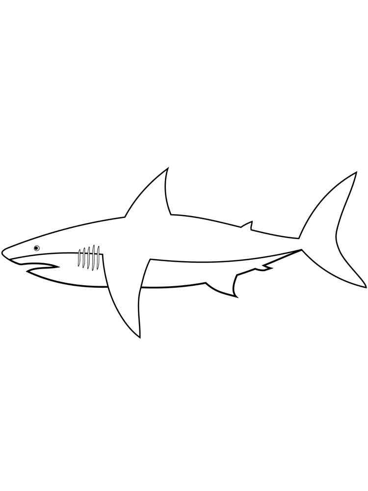 Sharks coloring pages. Download and print sharks coloring pages