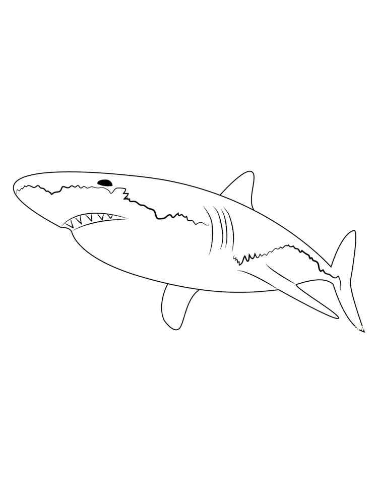 Sharks coloring pages. Download and print sharks coloring pages