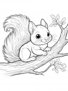 Squirrel Coloring Pages 56