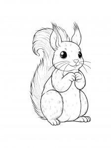 Squirrel Coloring Pages 58