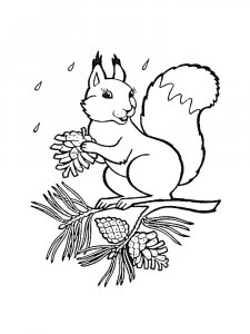 Squirrel Coloring Pages 85