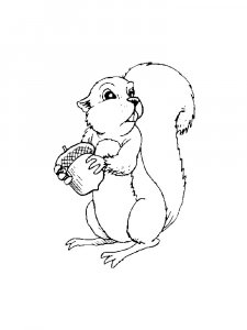 Squirrel Coloring Pages 89