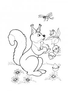 Squirrel Coloring Pages 91