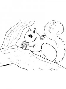 Squirrel Coloring Pages 92