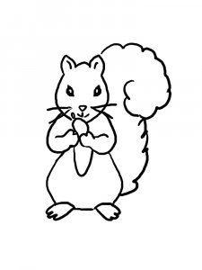 Squirrel Coloring Pages 98