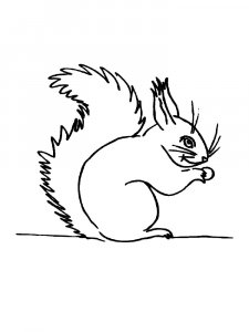 Squirrel Coloring Pages 99