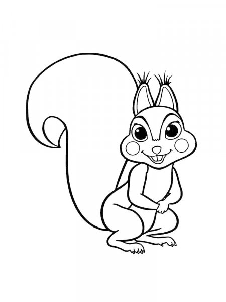 Squirrel coloring pages