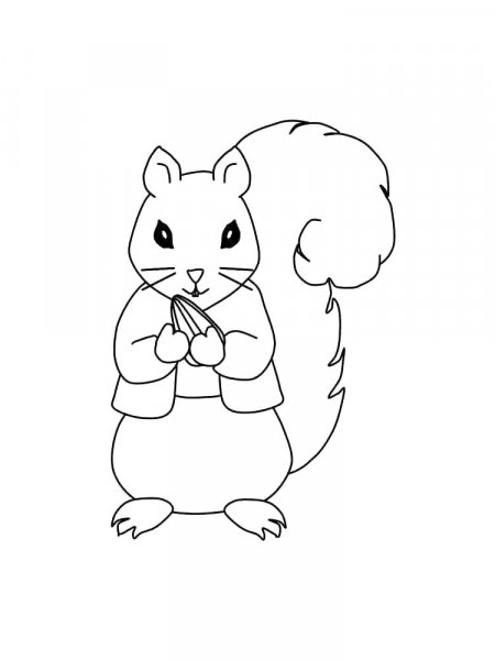 Squirrel coloring pages