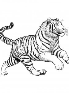 Tiger Coloring Pages 44