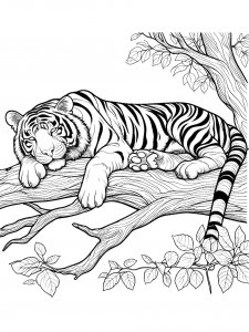 Tiger Coloring Pages 46