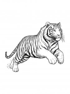 Tiger Coloring Pages 47