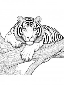 Tiger Coloring Pages 53