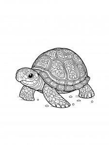 Turtle coloring page - picture 43