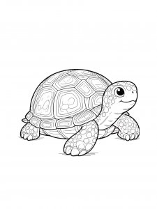 Turtle Coloring Pages 62