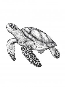 Turtle Coloring Pages 64
