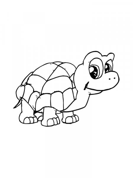 Turtle coloring pages