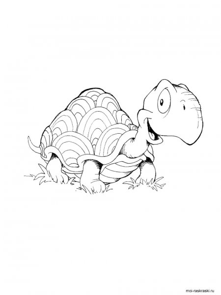 Turtle coloring pages