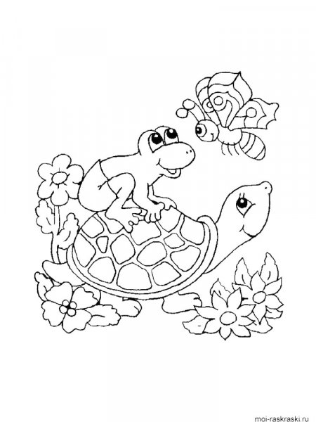 Turtle coloring pages