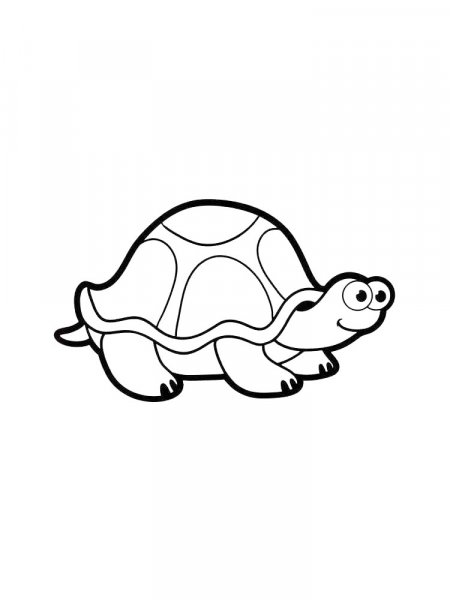 Turtle coloring pages