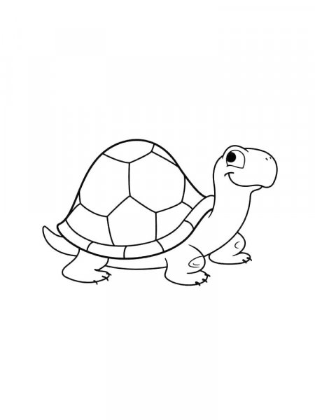 Turtle coloring pages