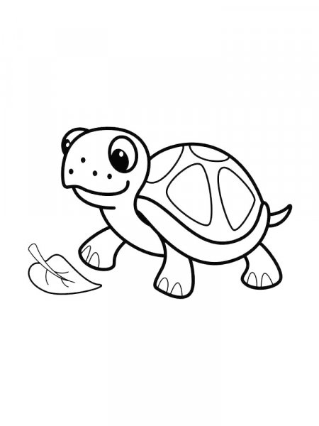 Turtle coloring pages