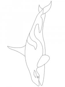 Whale coloring page - picture 33