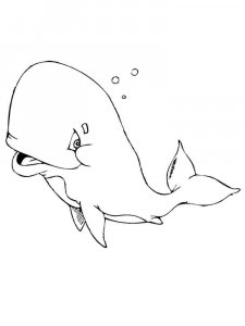 Whale coloring page - picture 23