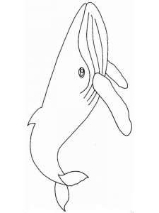 Whale coloring page - picture 26