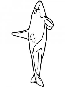 Whale coloring page - picture 27