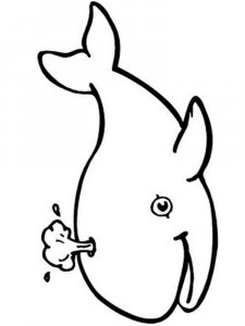 Whale coloring page - picture 28