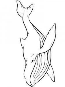 Whale coloring page - picture 29