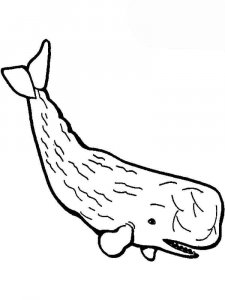 Whale coloring page - picture 30