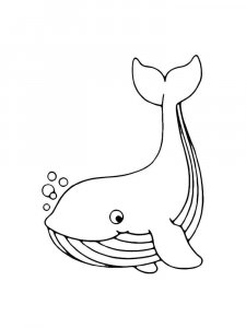 Whale coloring page - picture 14
