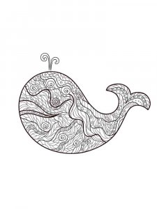 Whale coloring page - picture 17